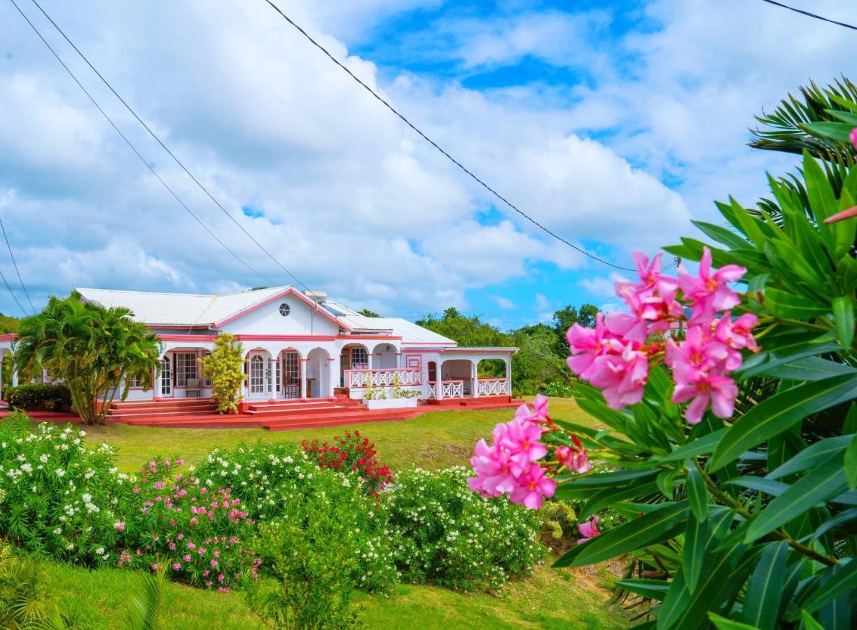Sunny Palm Villas Laborie Екстериор снимка